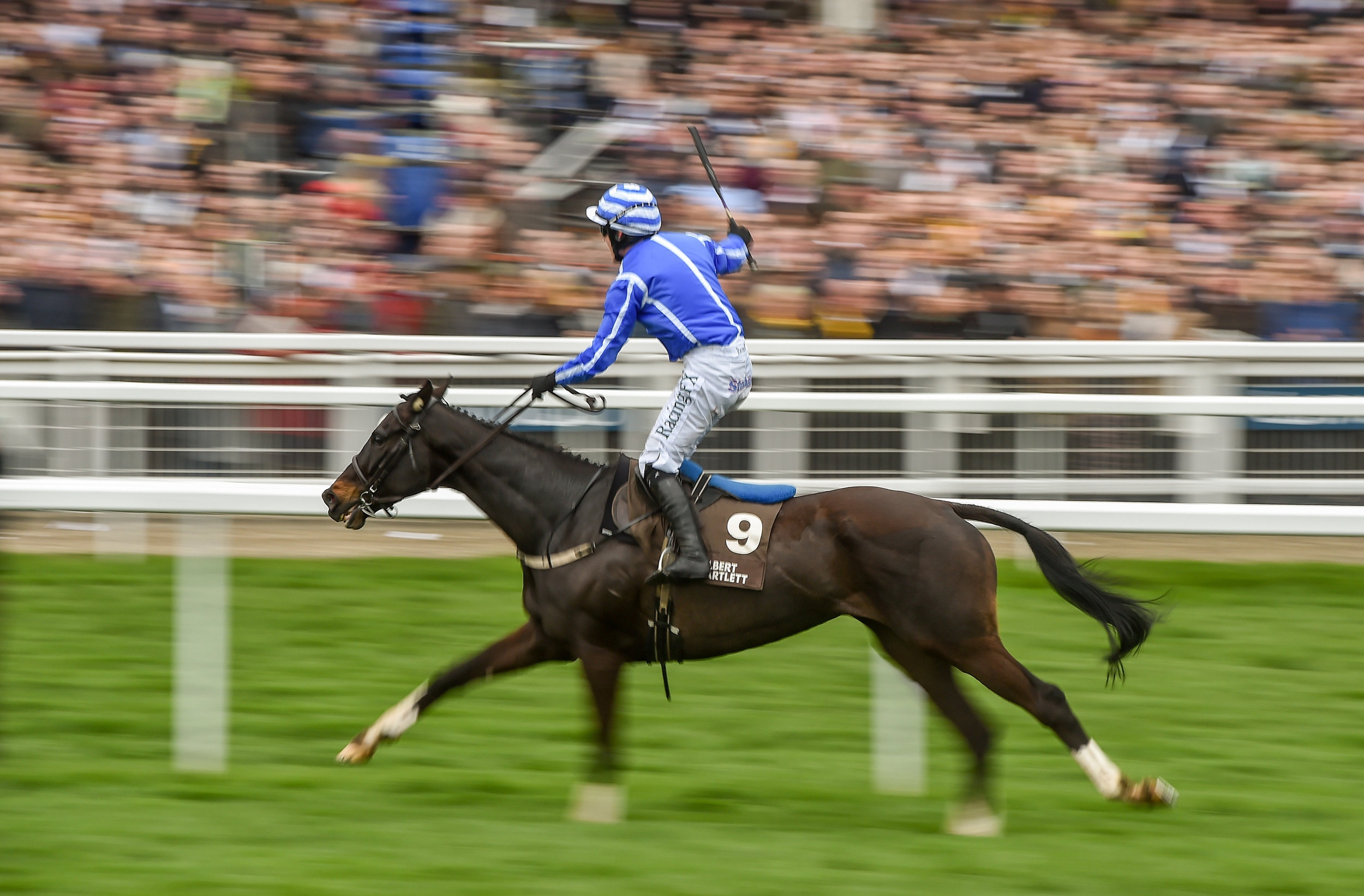  Cheltenham 2017 /  Sportsfile  