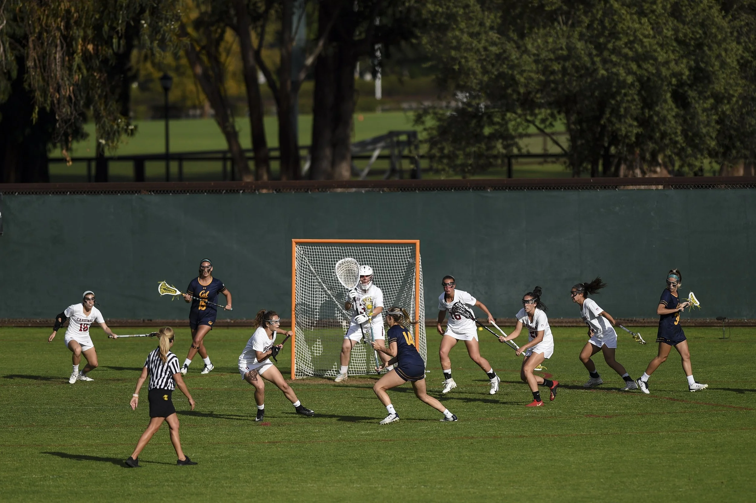 General view_CG_04192019_1191.jpg