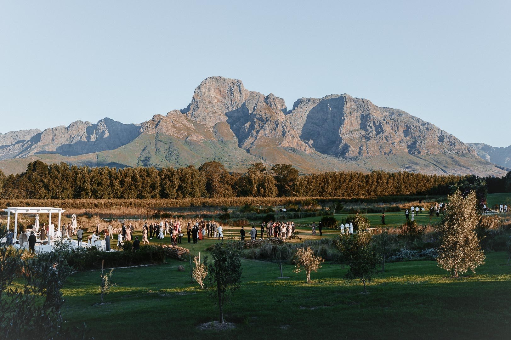 Wedding_Decor_pre_drinks_Flowers_Luxury_Wedding_details_wedding_planner_boschendal_south_africa_001-9.jpg