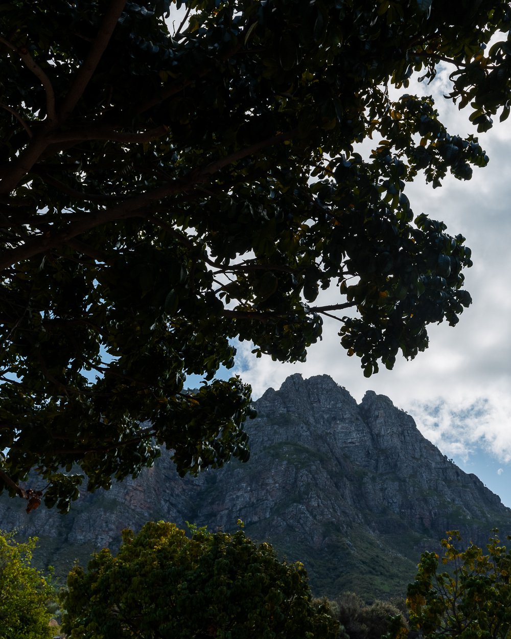 Boschendal_Mountain_Villa_Wedding_@johnhenryweddingphoto_0016.jpg