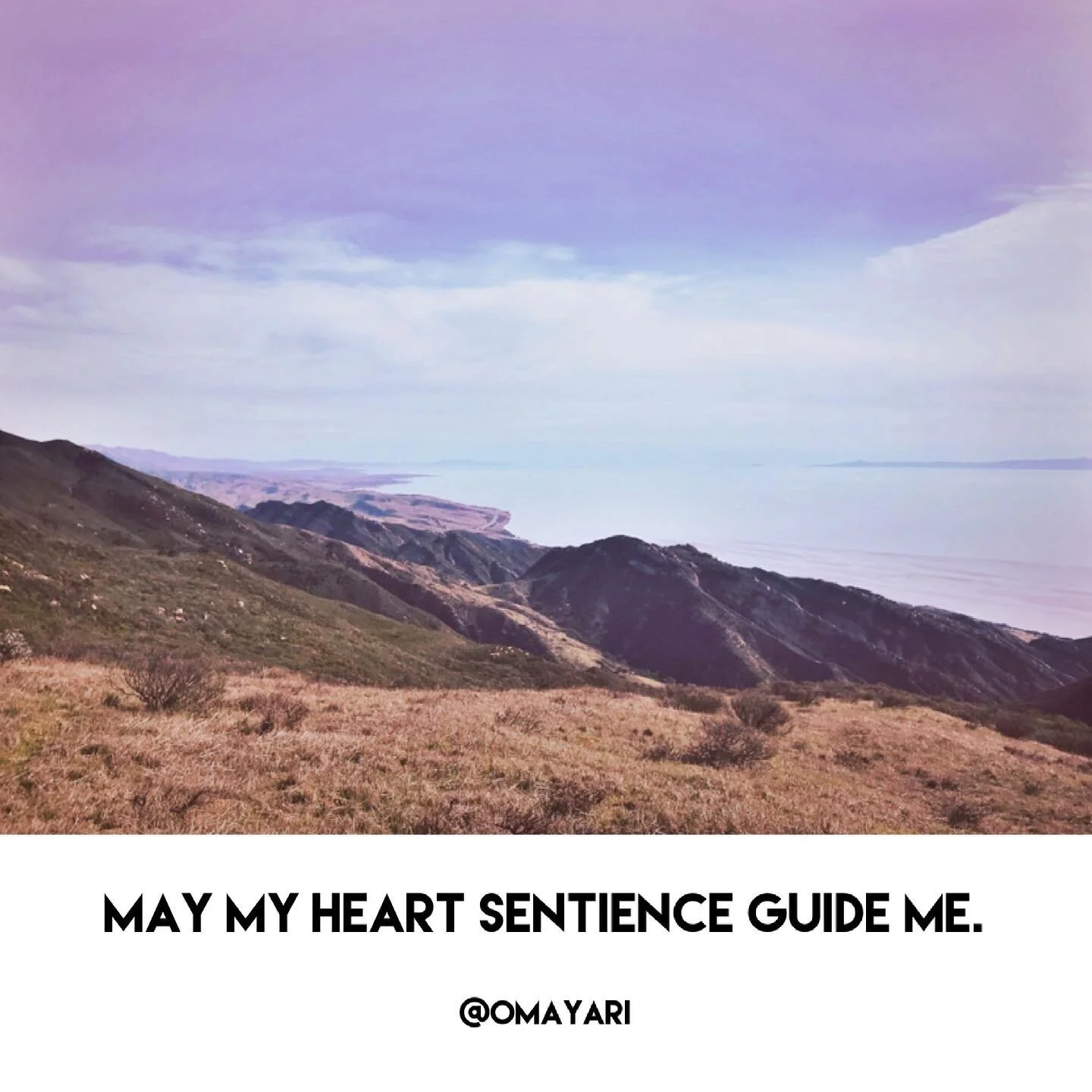 42E68906-FD92-479E-BFC3-C28A53DCD422 2.JPG