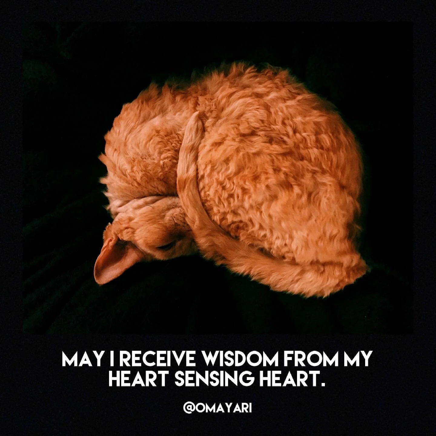 79A624D8-E653-47A5-B611-8DA53E67F02B 2.JPG