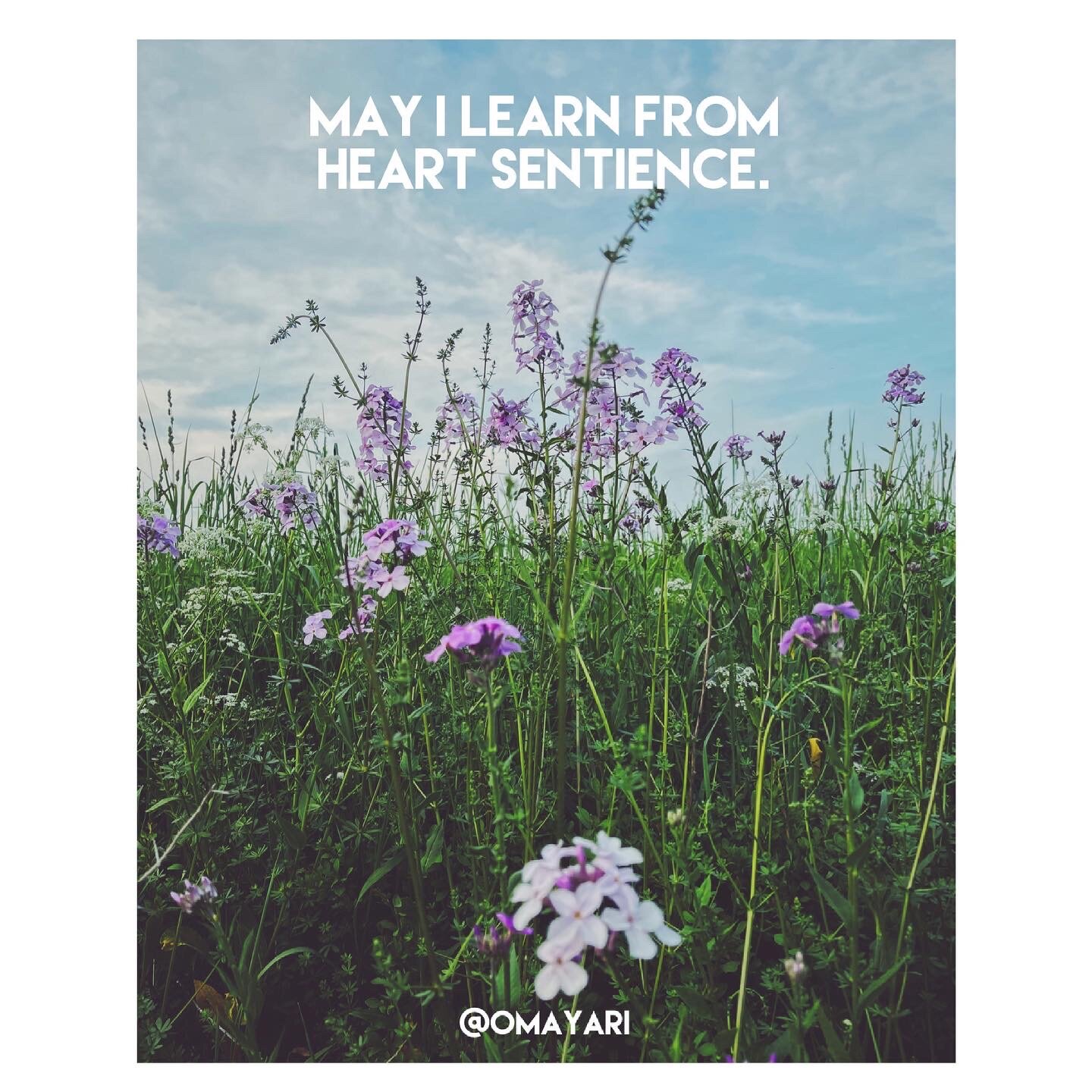 BEFC6A84-87C5-447E-84C7-62CD844724FA 2.JPG