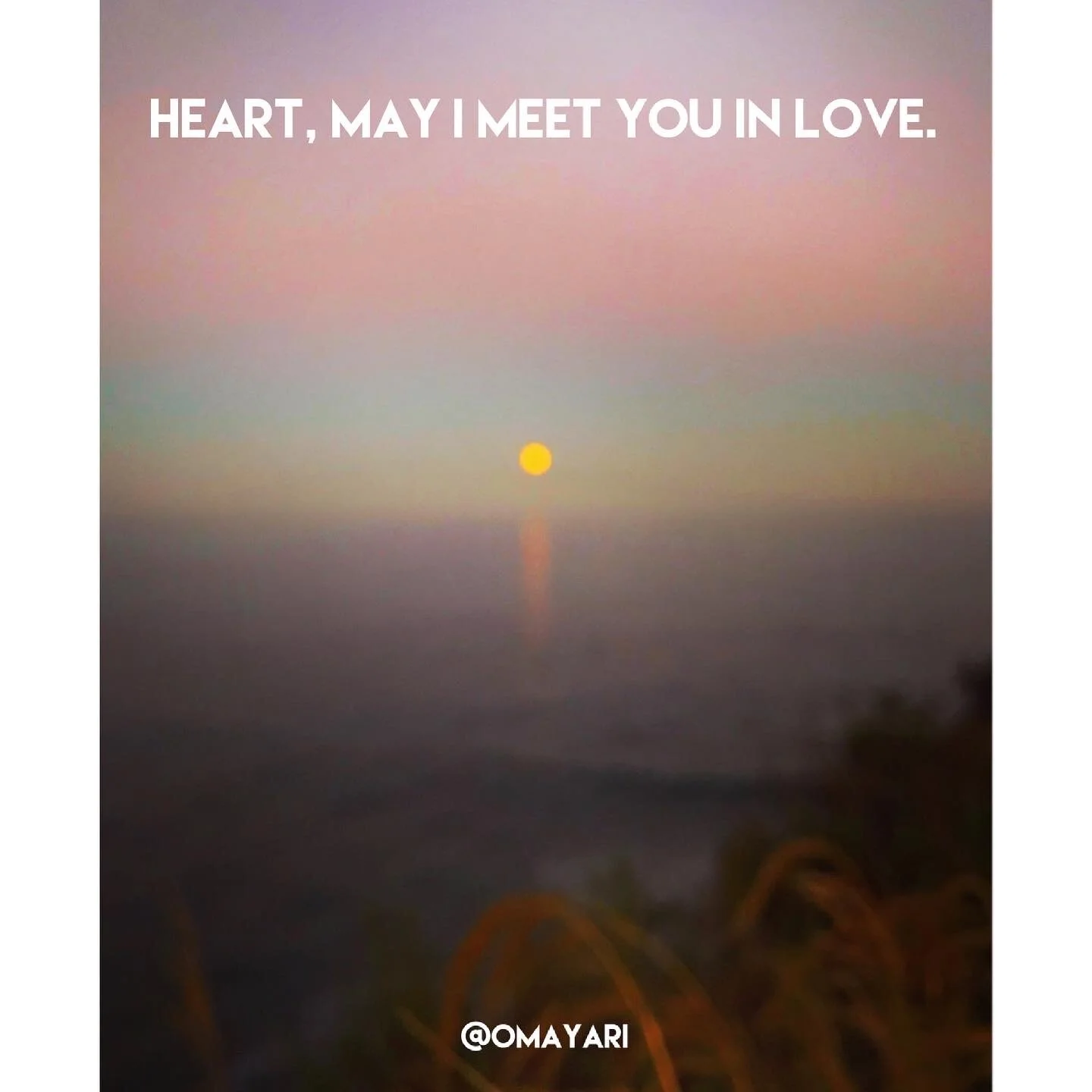 D6F894B5-34FC-46F5-8AC1-6F5F9C2236C8 2.JPG