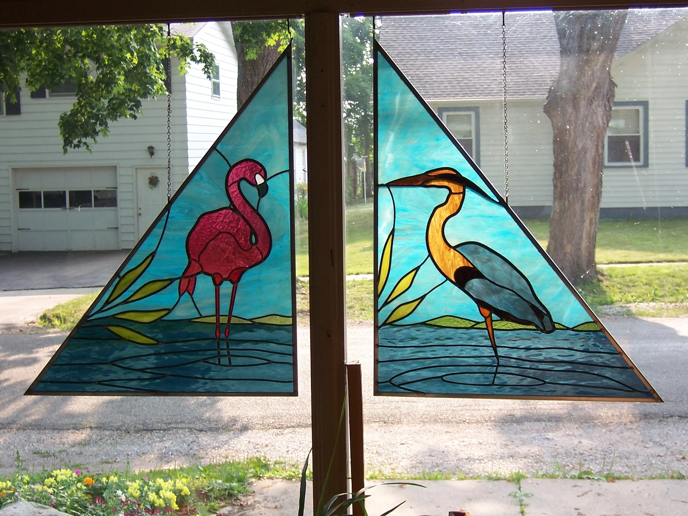 Tropical Birds