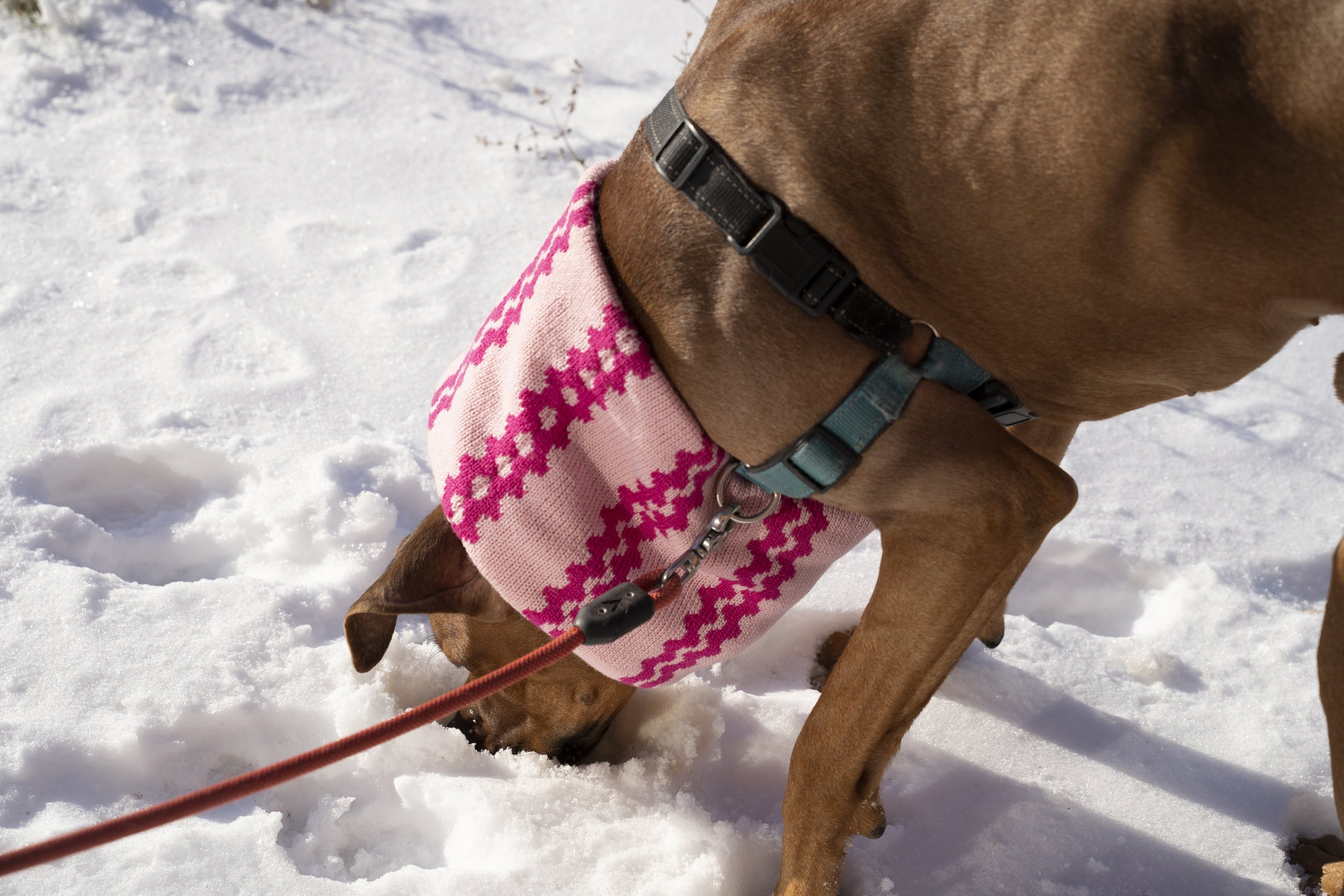 makwa_studio_rick_rack_cowl_knitwear_machine_knitting_pink_isaac_12.jpg