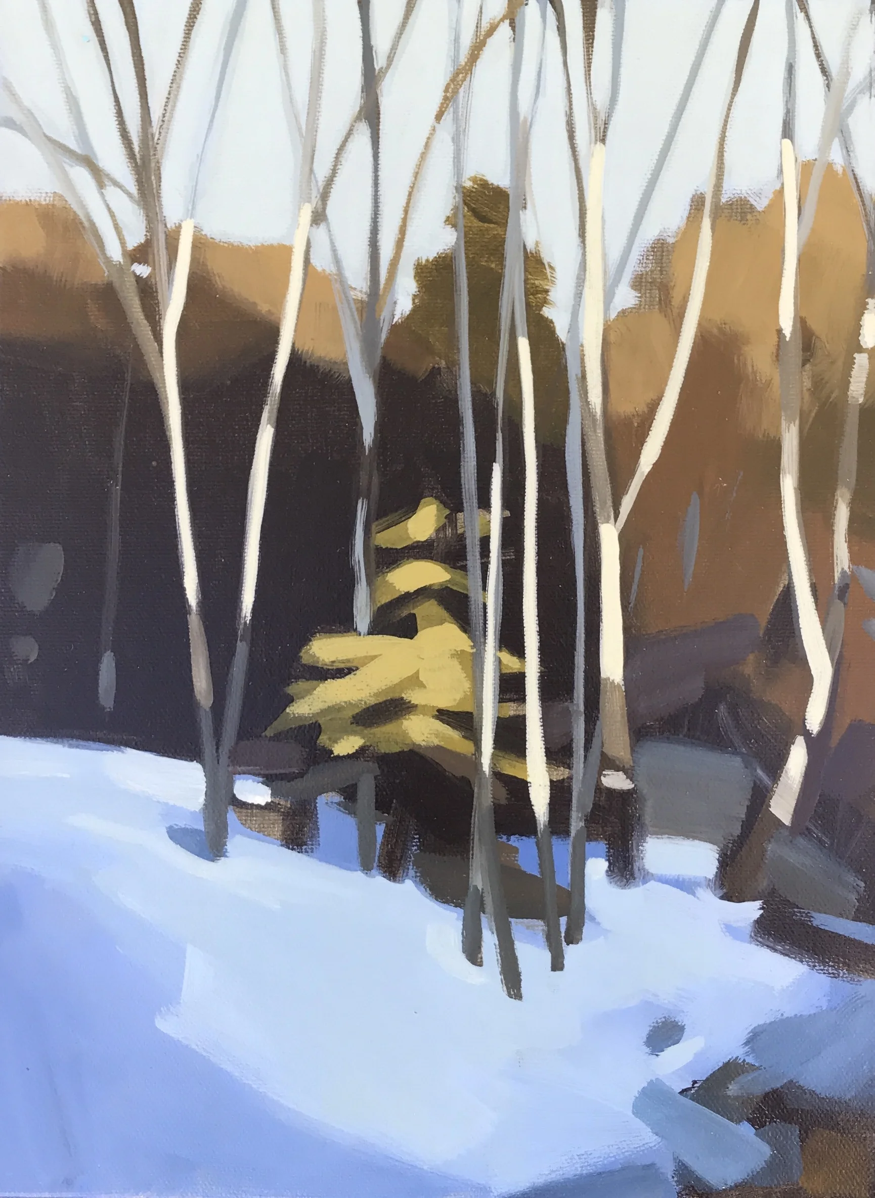 Birch Cage