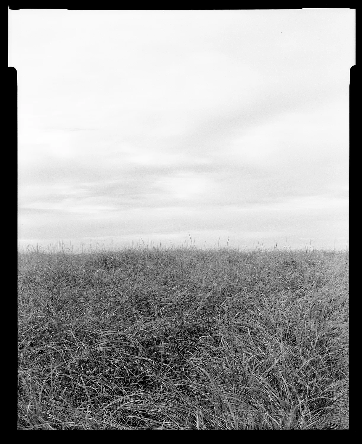 Herring Cove no.11