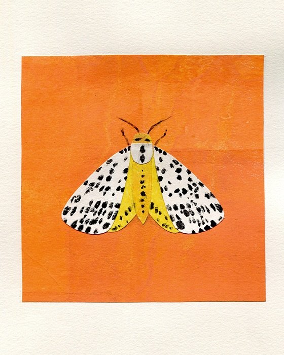 Say hello to my lil&rsquo; friends! Made because moths are beautiful. Side story: When I was little, my cousin and I used to collect moths while camping and bring them back to our tent. Most of them came from the glowing bathroom stalls at night. The
