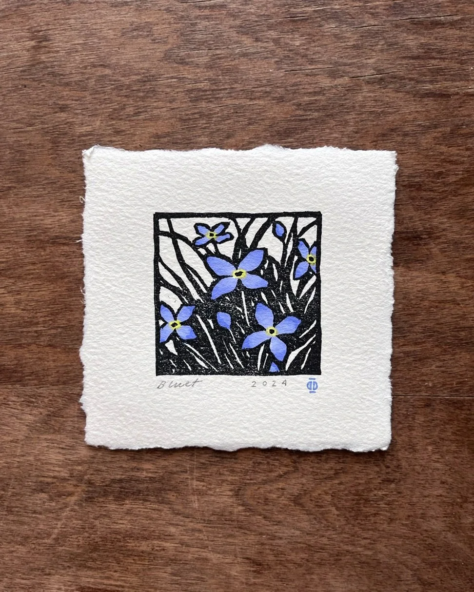 PSA: Bluets are out in the Blue Ridge! They are so small you really have to look close to see them, an ant could use the bloom as an umbrella. I usually find them scattered nearby water sources or a mossy rock. Some of my favorite spring flowers. Wha