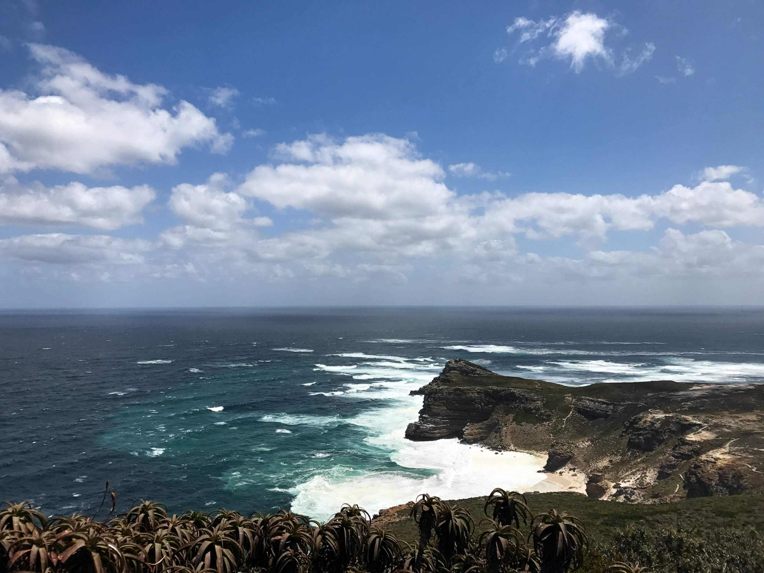 Capepoint (1 of 4).jpg