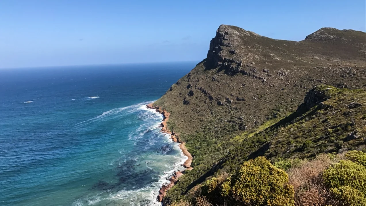 Cape Point nature Reserve — Morgan Mulholland