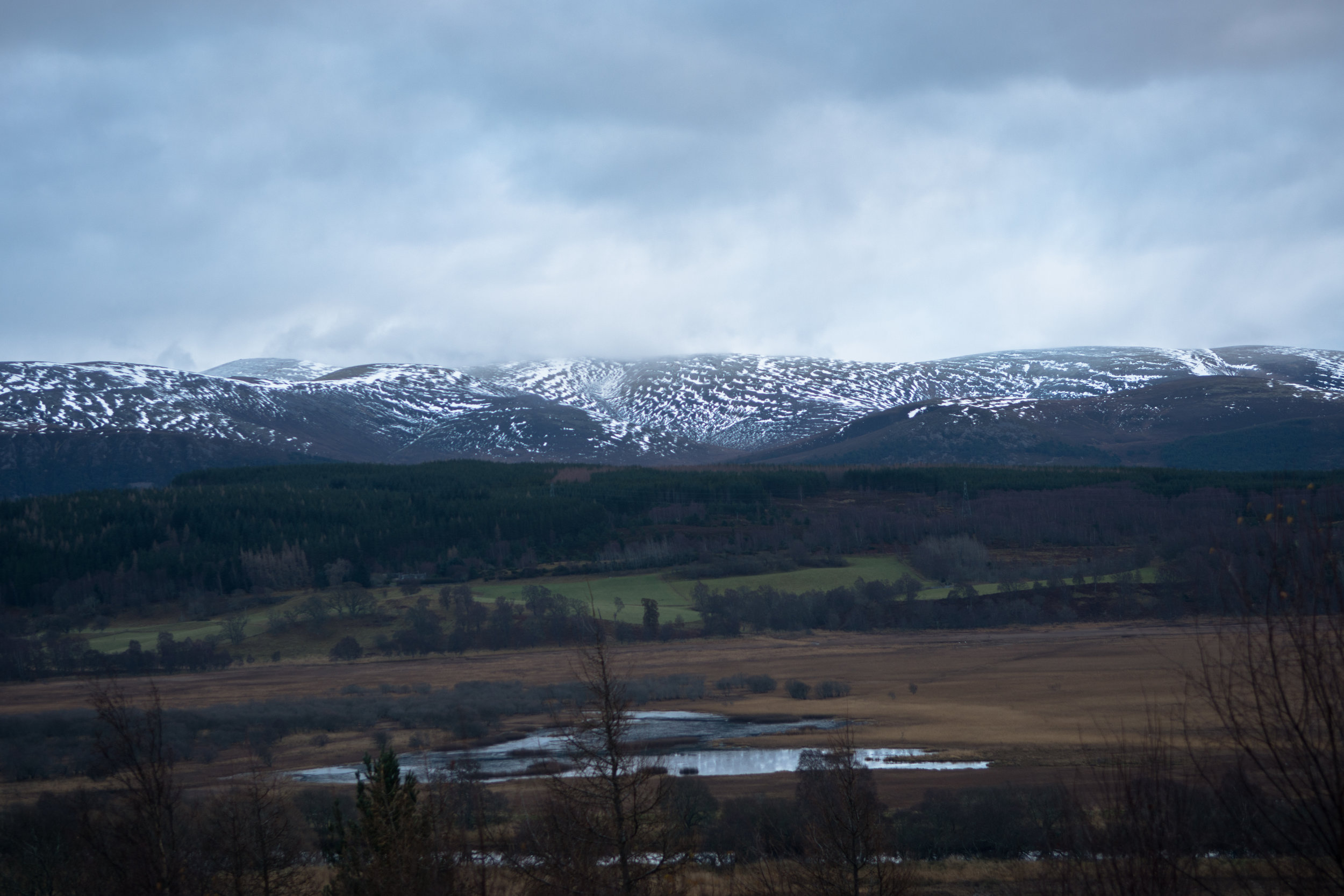 cairngorm view (1 of 1).jpg