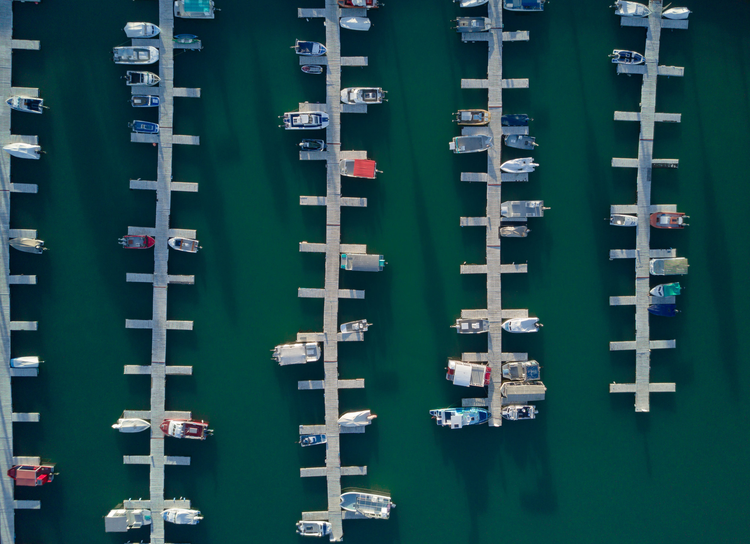 port alfrd harbour.jpg