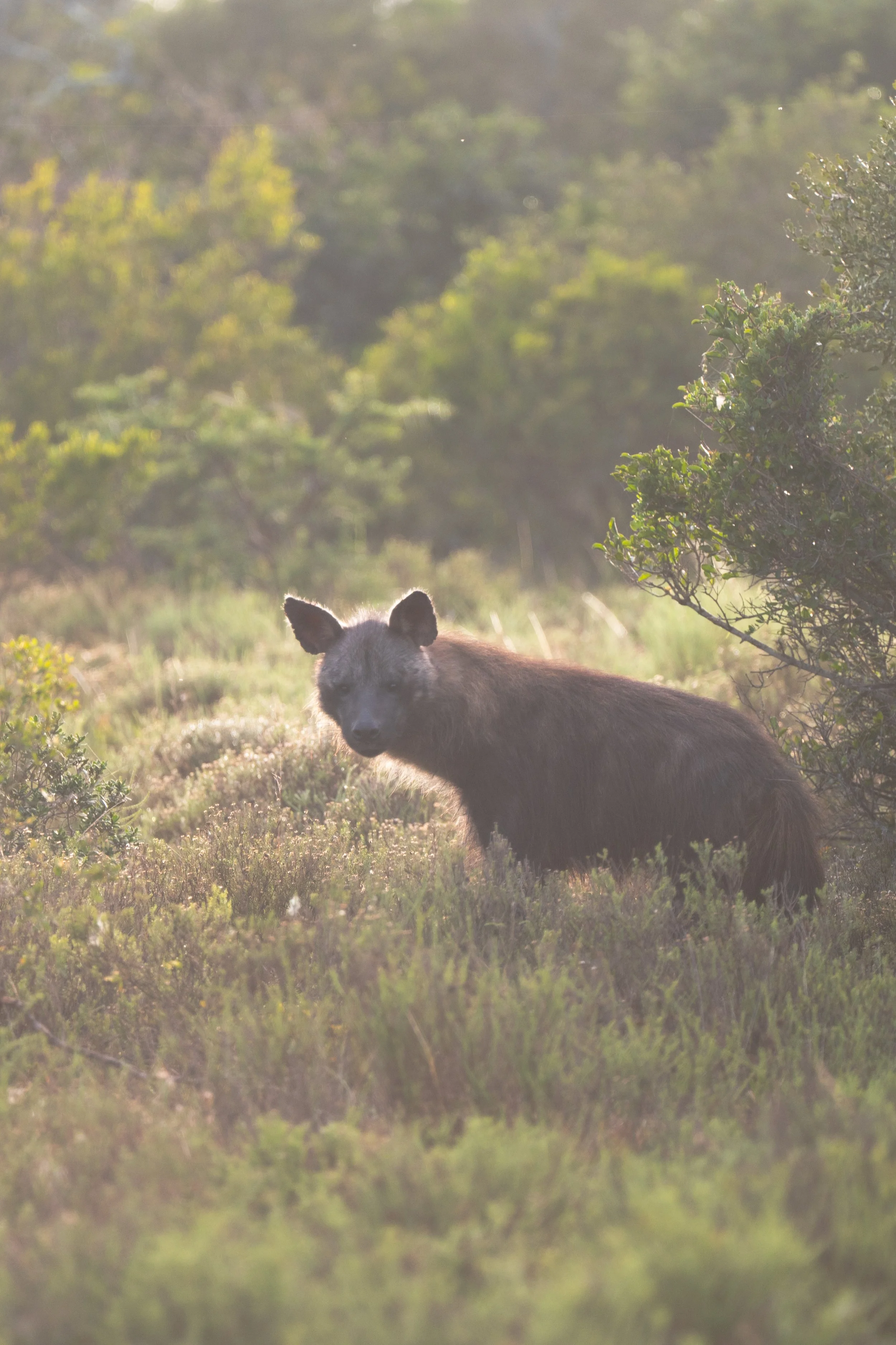 DSC_7020.jpeg