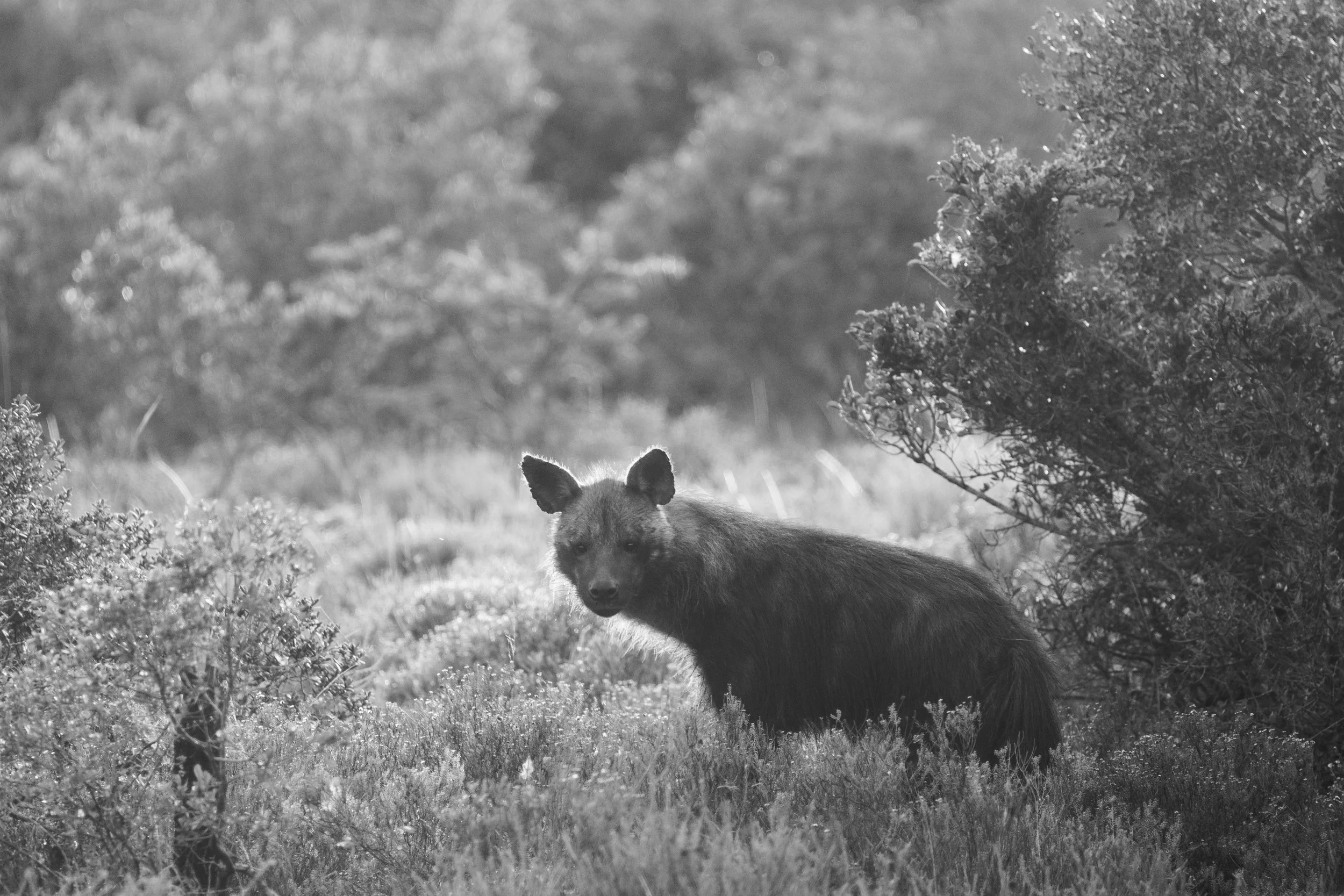 DSC_7018.jpeg