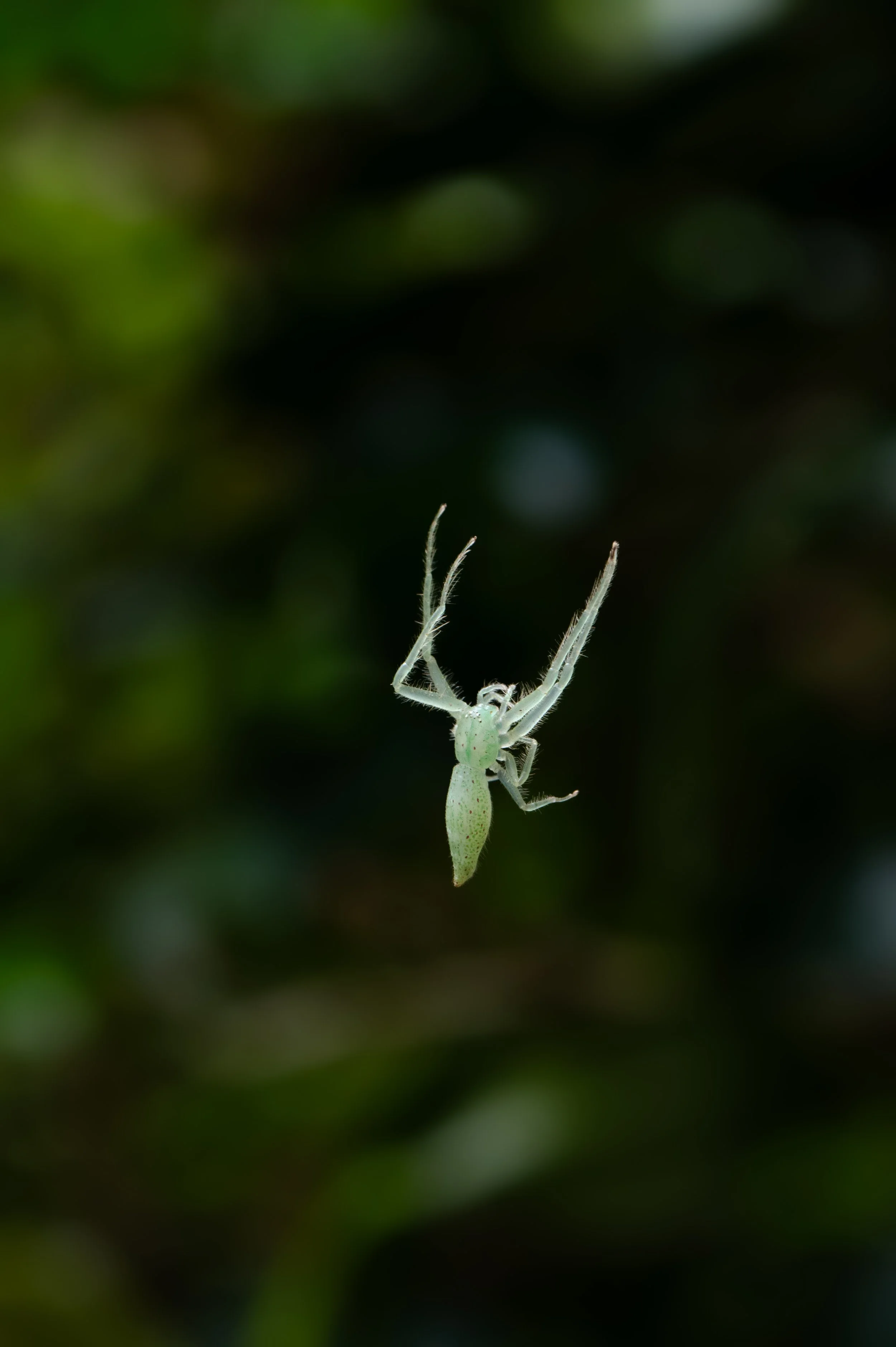 DSC_7496.jpeg