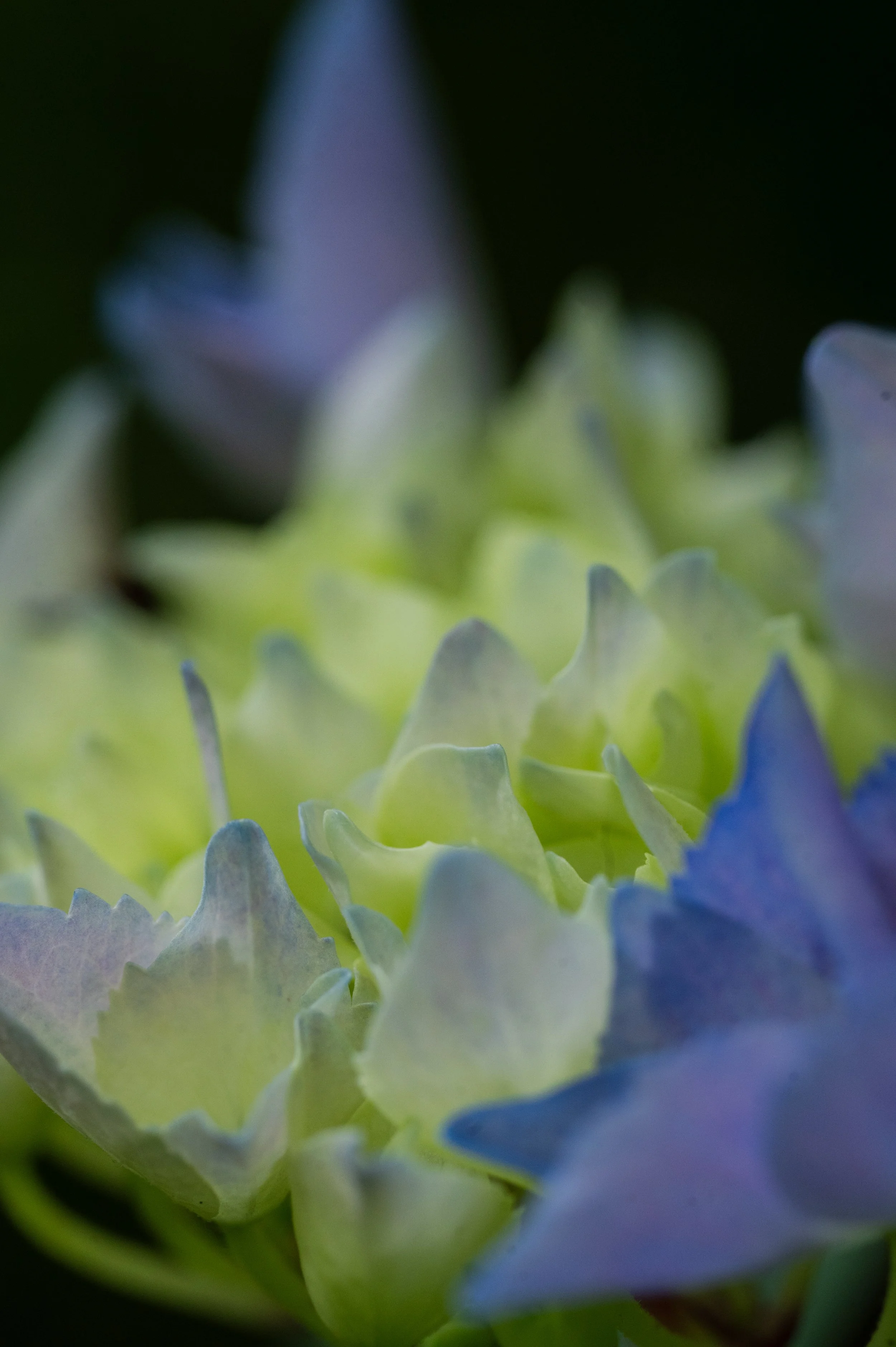 DSC_7507.jpeg