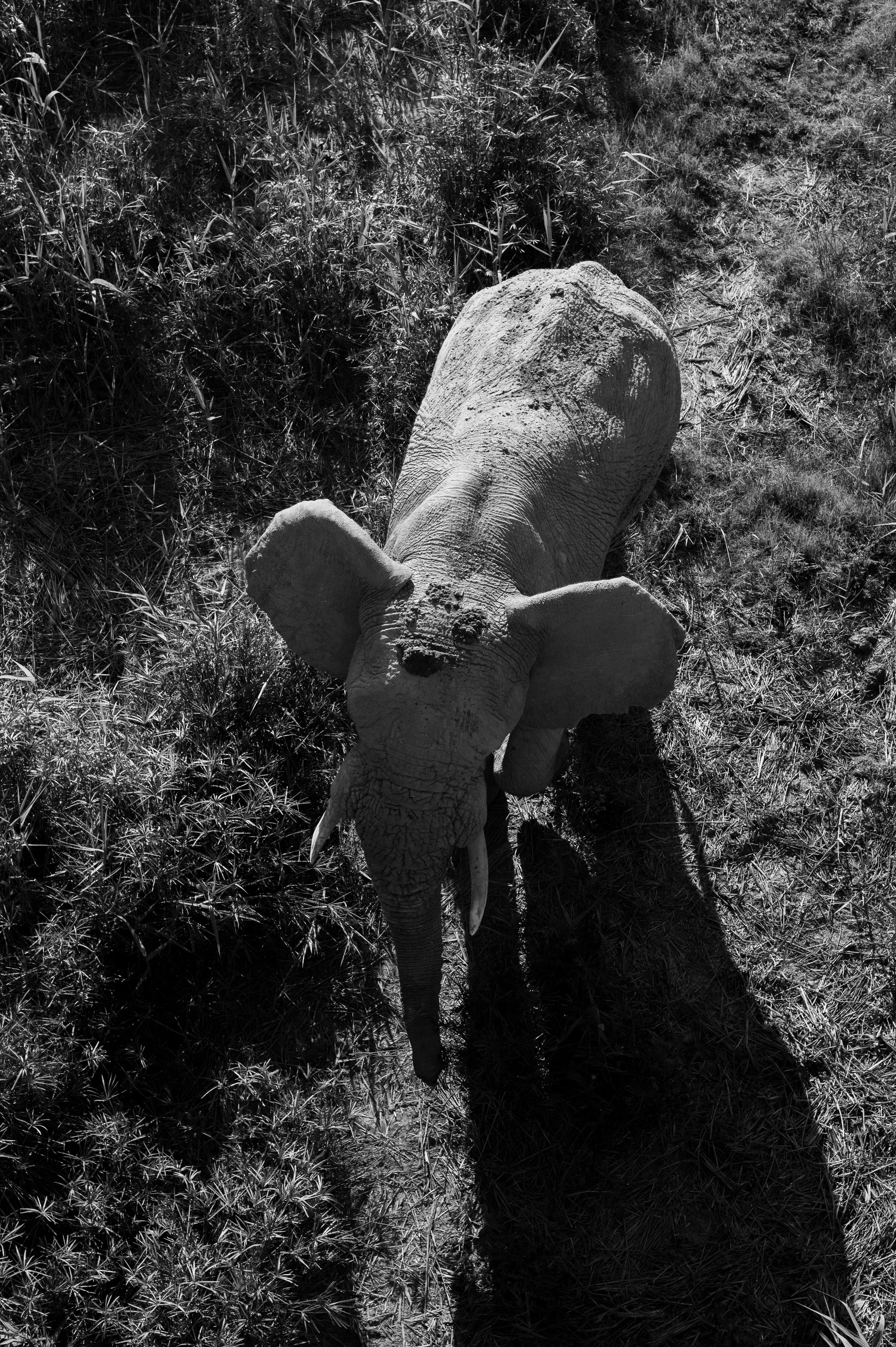 DSC_7916.jpeg