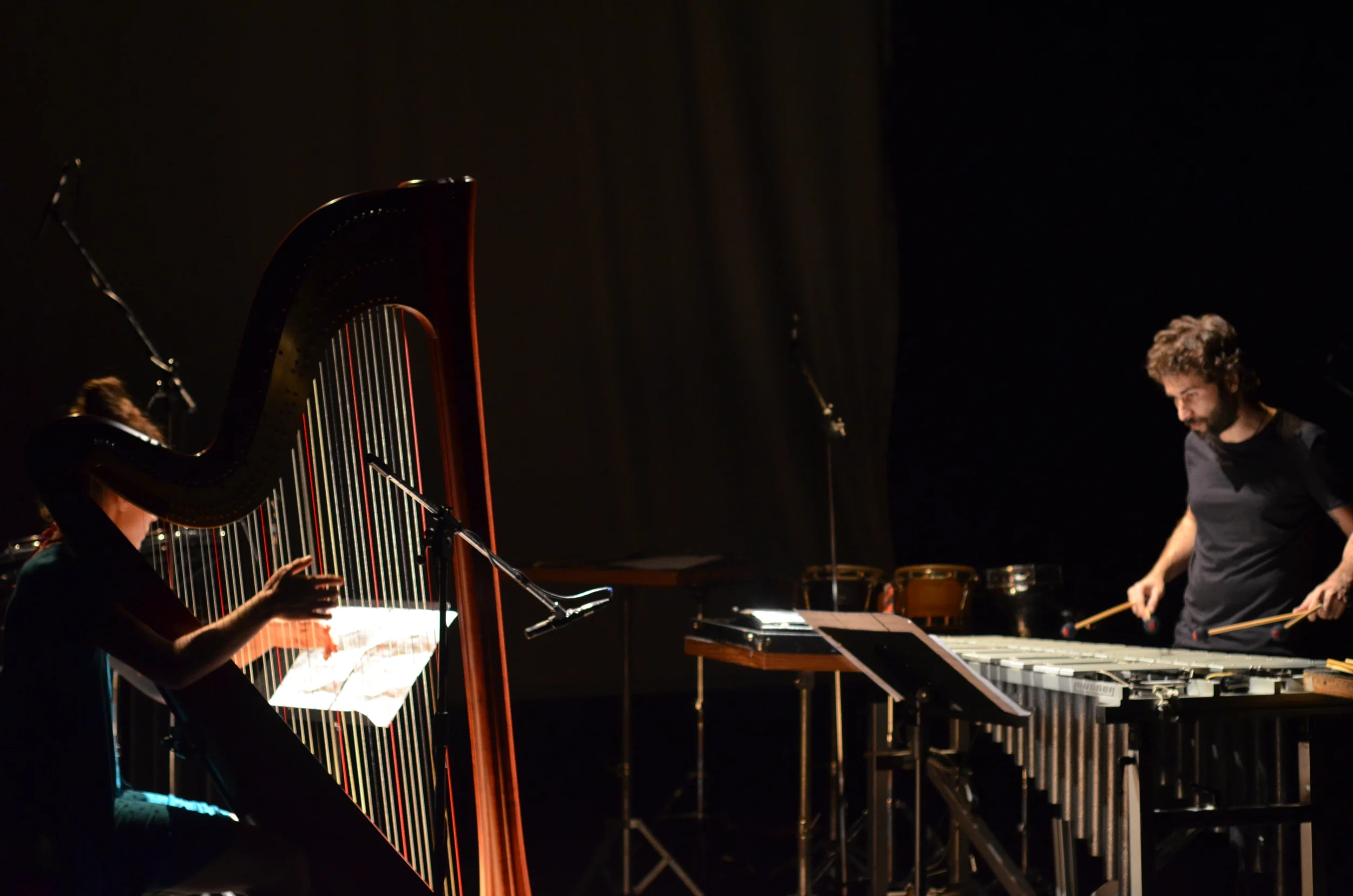 Luís Bittencourt and Angelica Salvi at Vertixe Vigo '14 - Spain