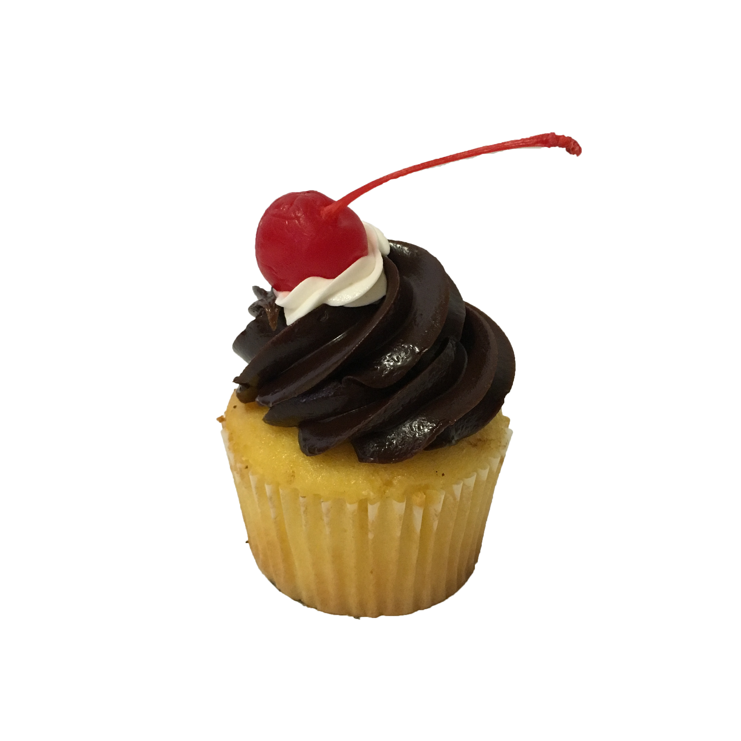 Boston Cream