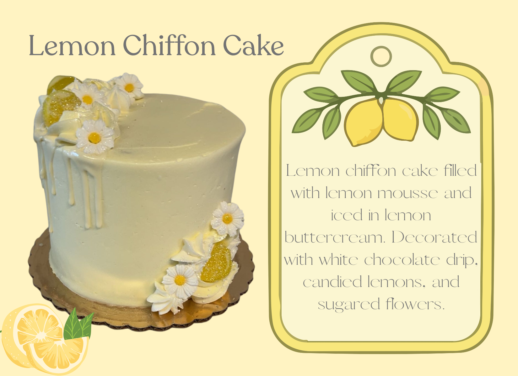 brand (1650 x 1200 px).png