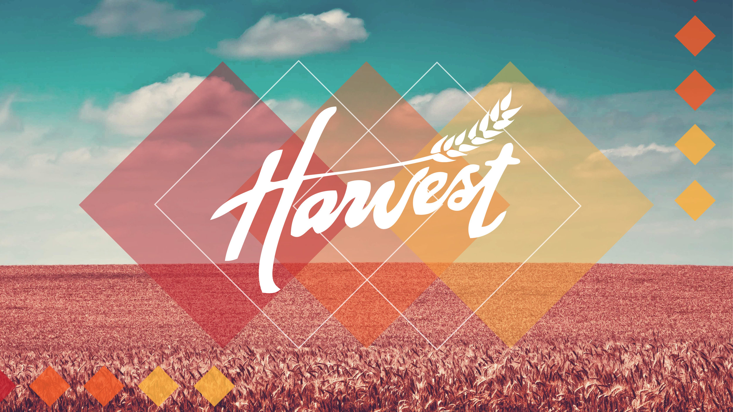Harvest Series-01.jpg