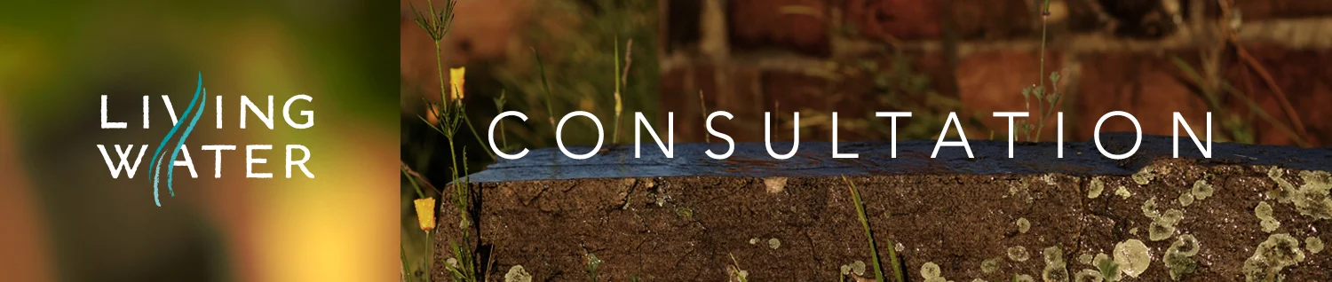 living_water_consultation.jpg
