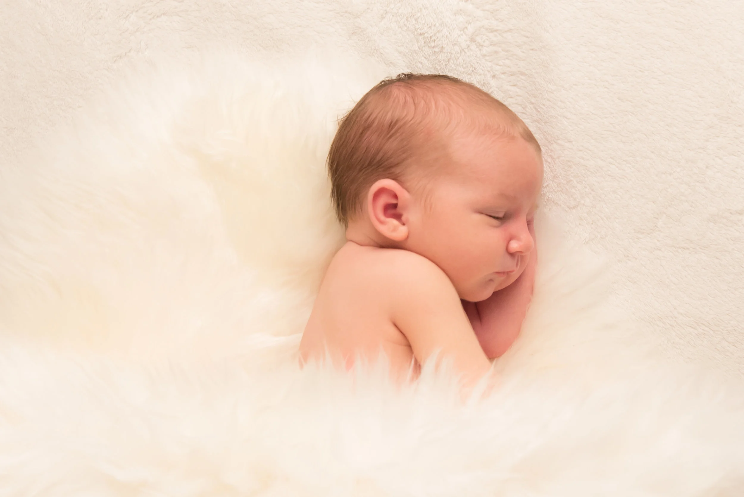 _DSC3389-Edit-1.jpg