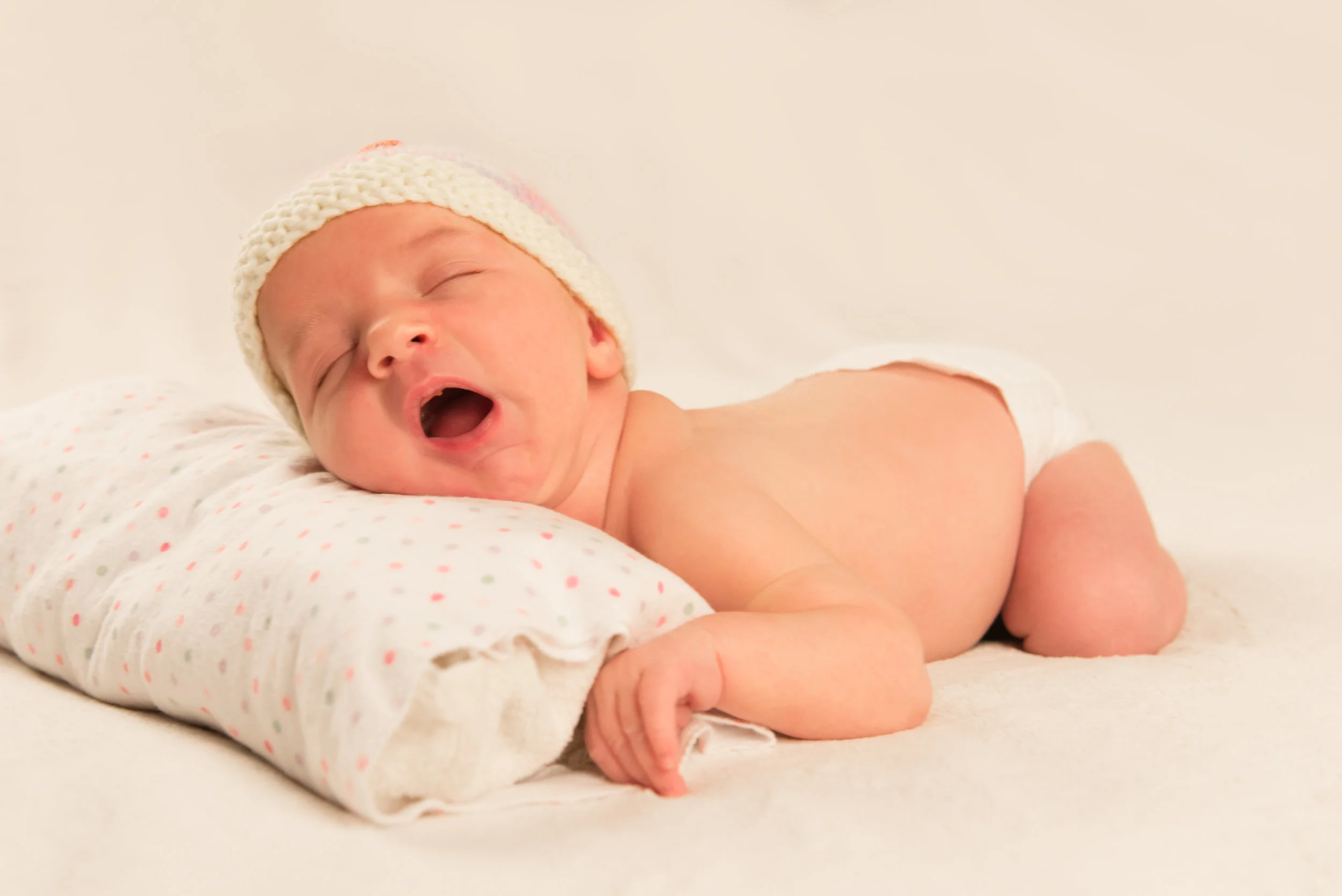 _DSC3356-Edit-2.jpg
