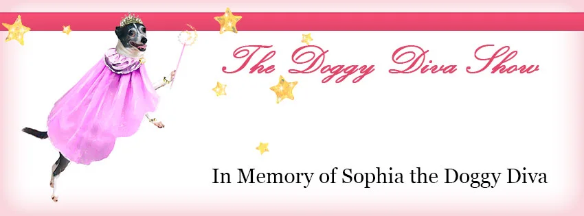 the doggie diva show.jpg