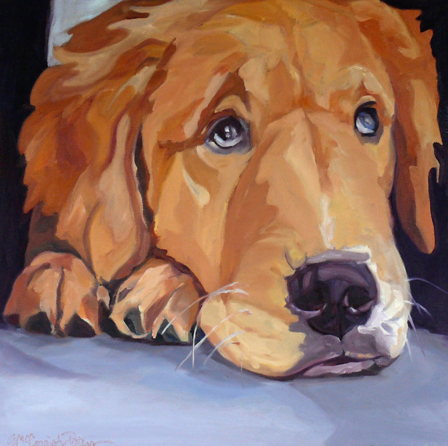 Evelyn McCorristin Peters Golden Retriever Eyes Portrait .jpg