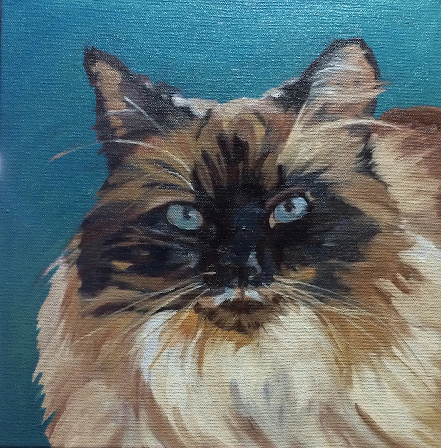 Evelyn McCorristin Peters Tipper the Cat.jpg