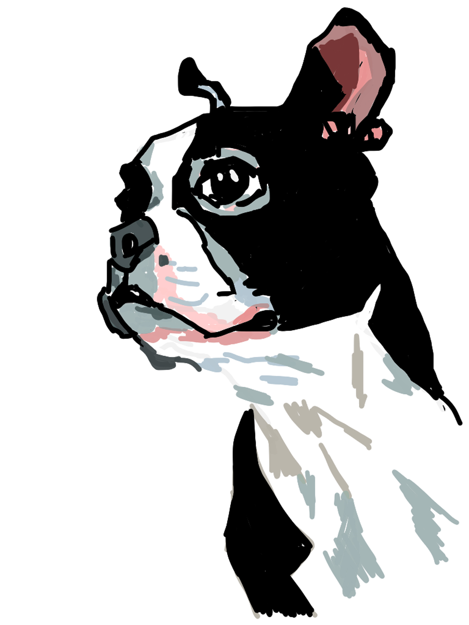 Evelyn McCorristin Peters Frenchie.jpg