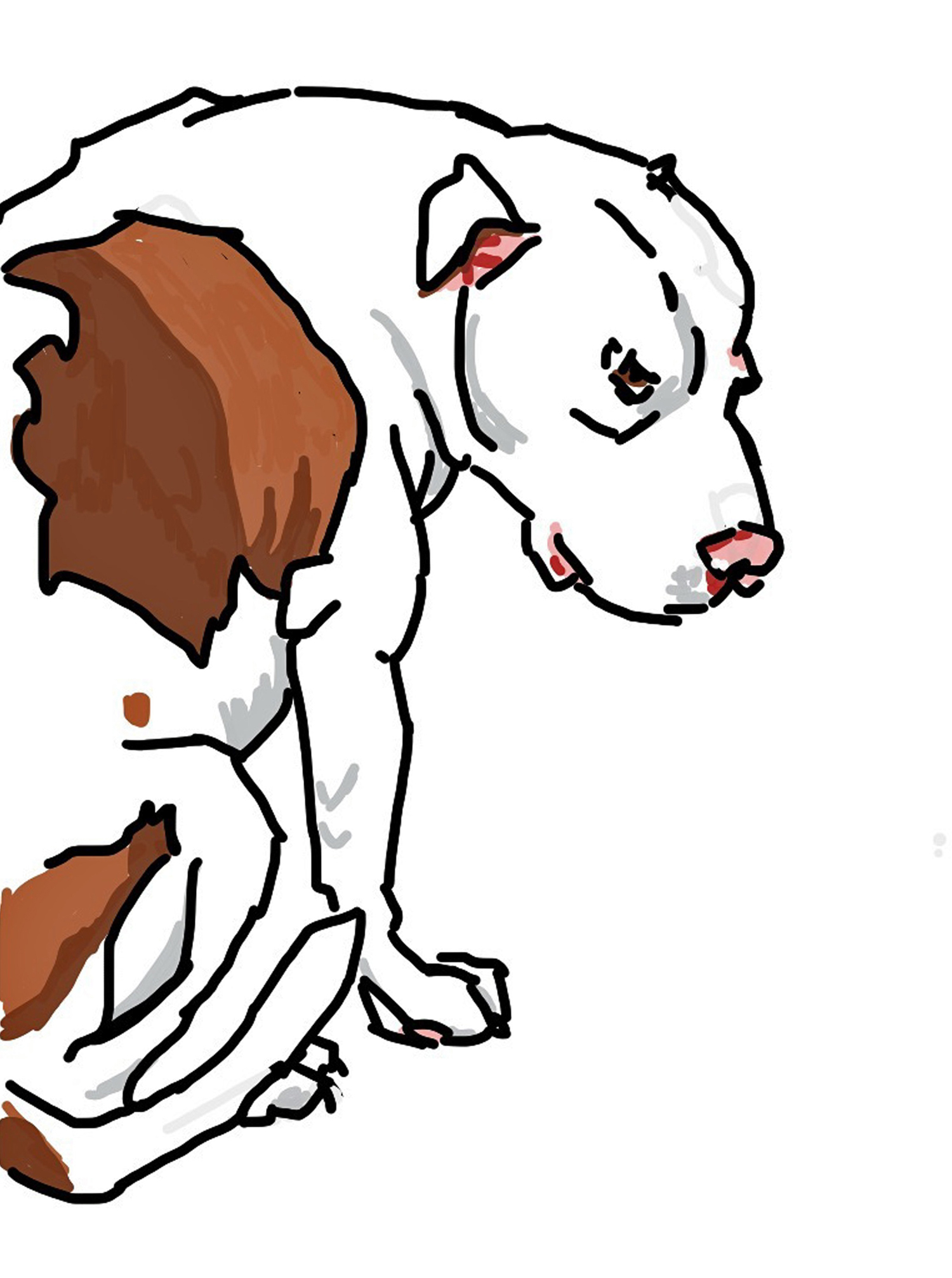 Evelyn McCorristin Peters Pittie.jpg