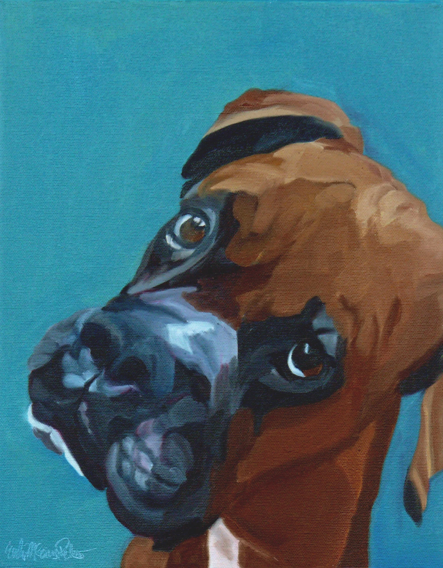 Leo the Boxer