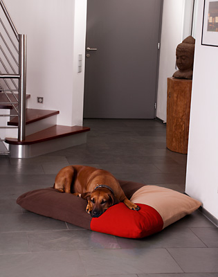 Mondrian Dog Cushion