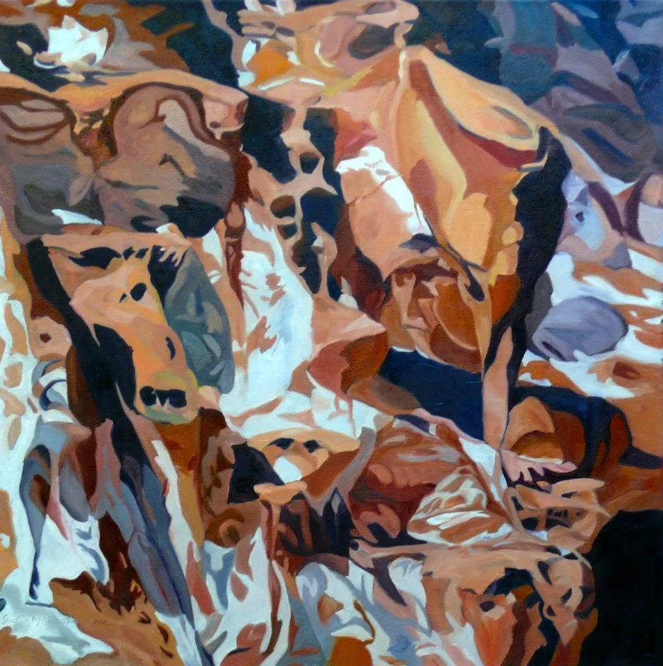 Red Rocks & Salt, Zion National Park