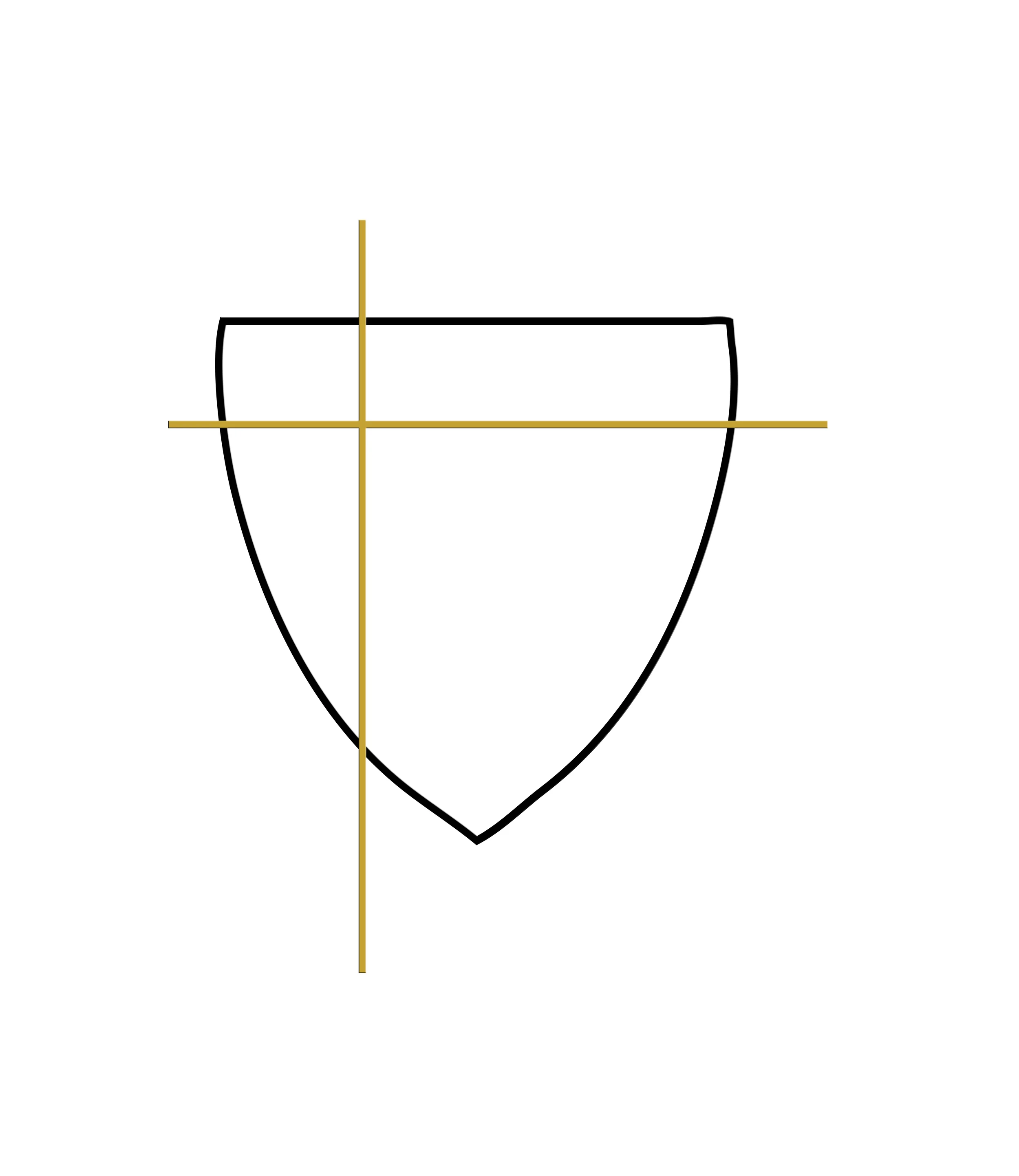 shield logo.jpg