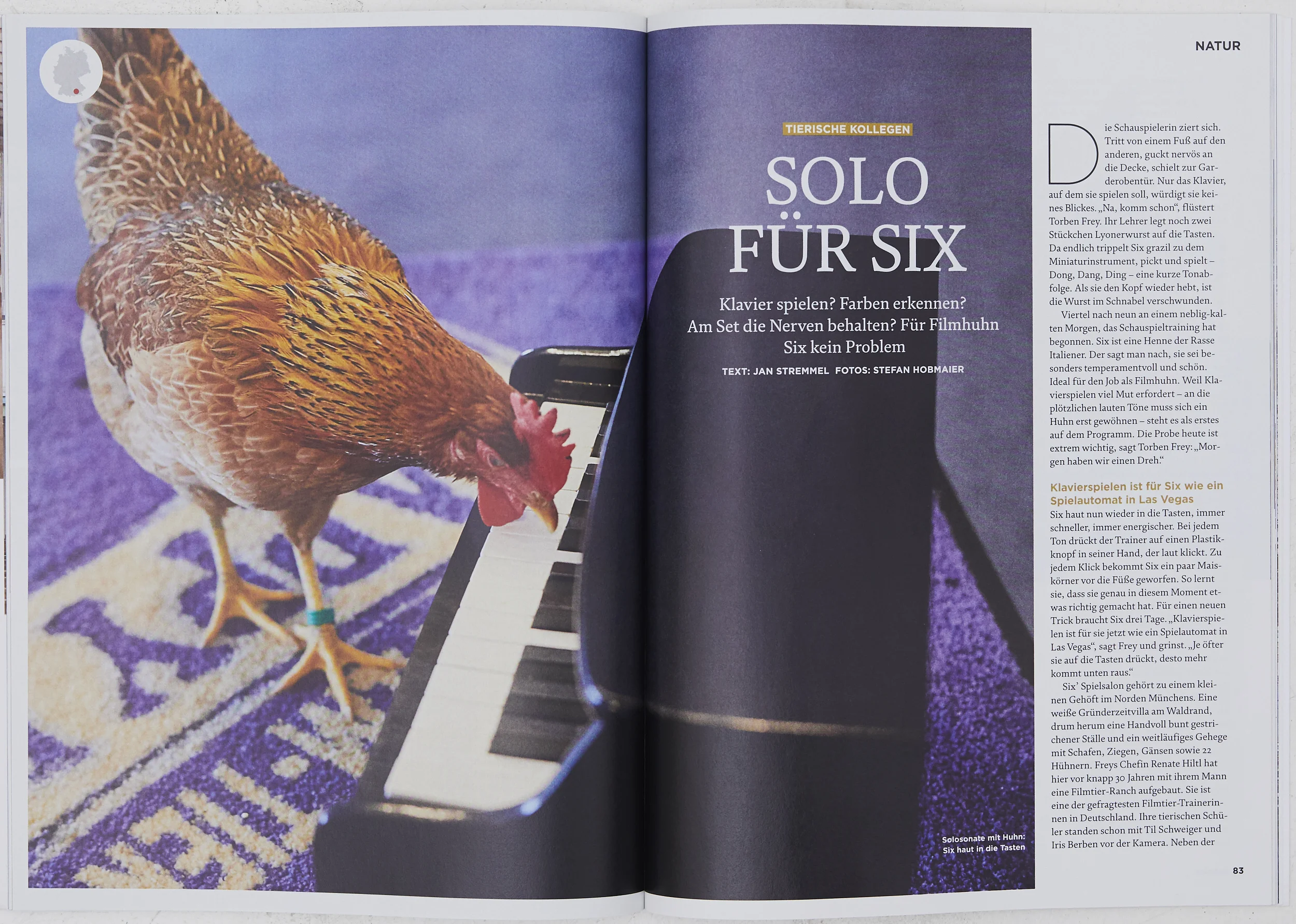 Tearsheets, published