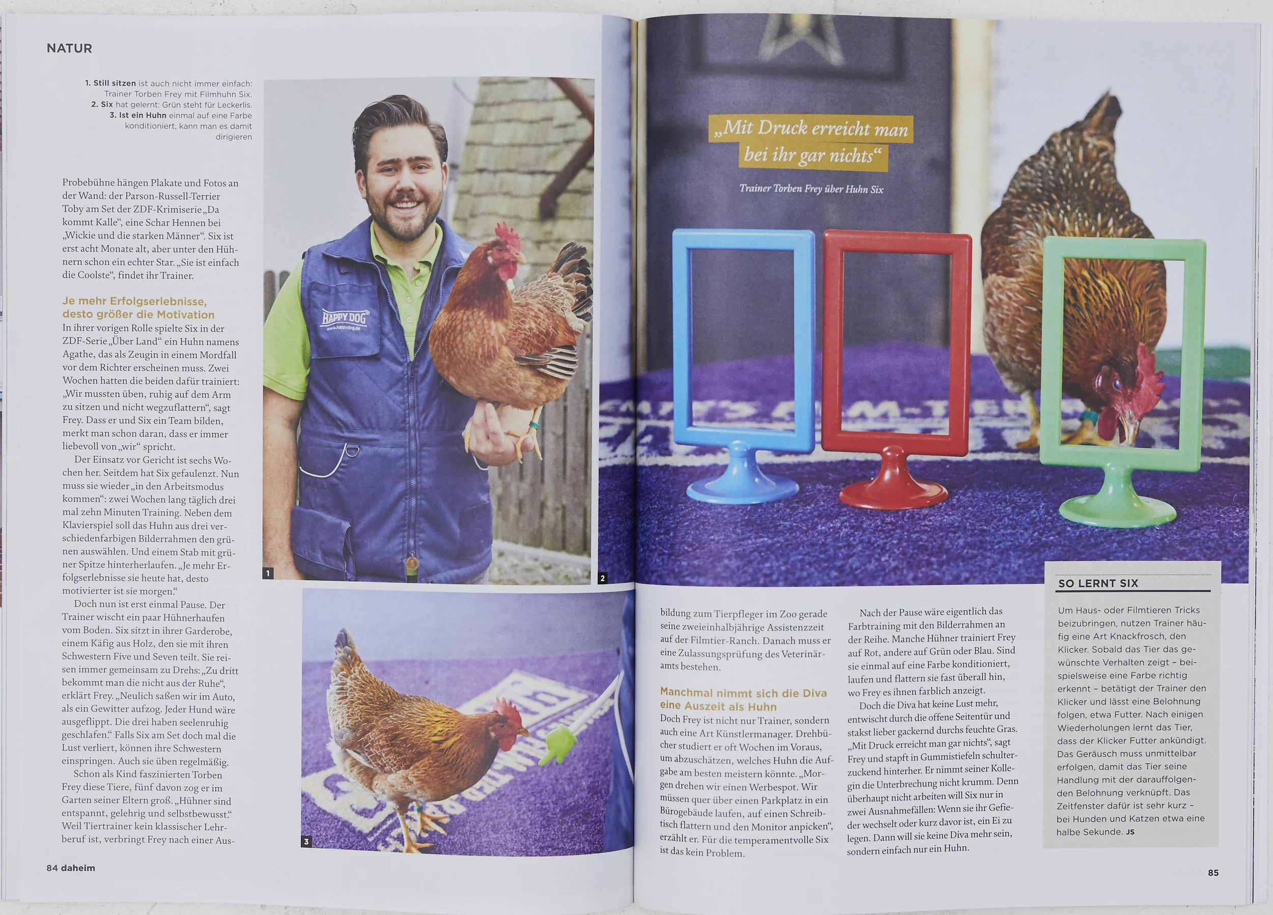 Tearsheets, published