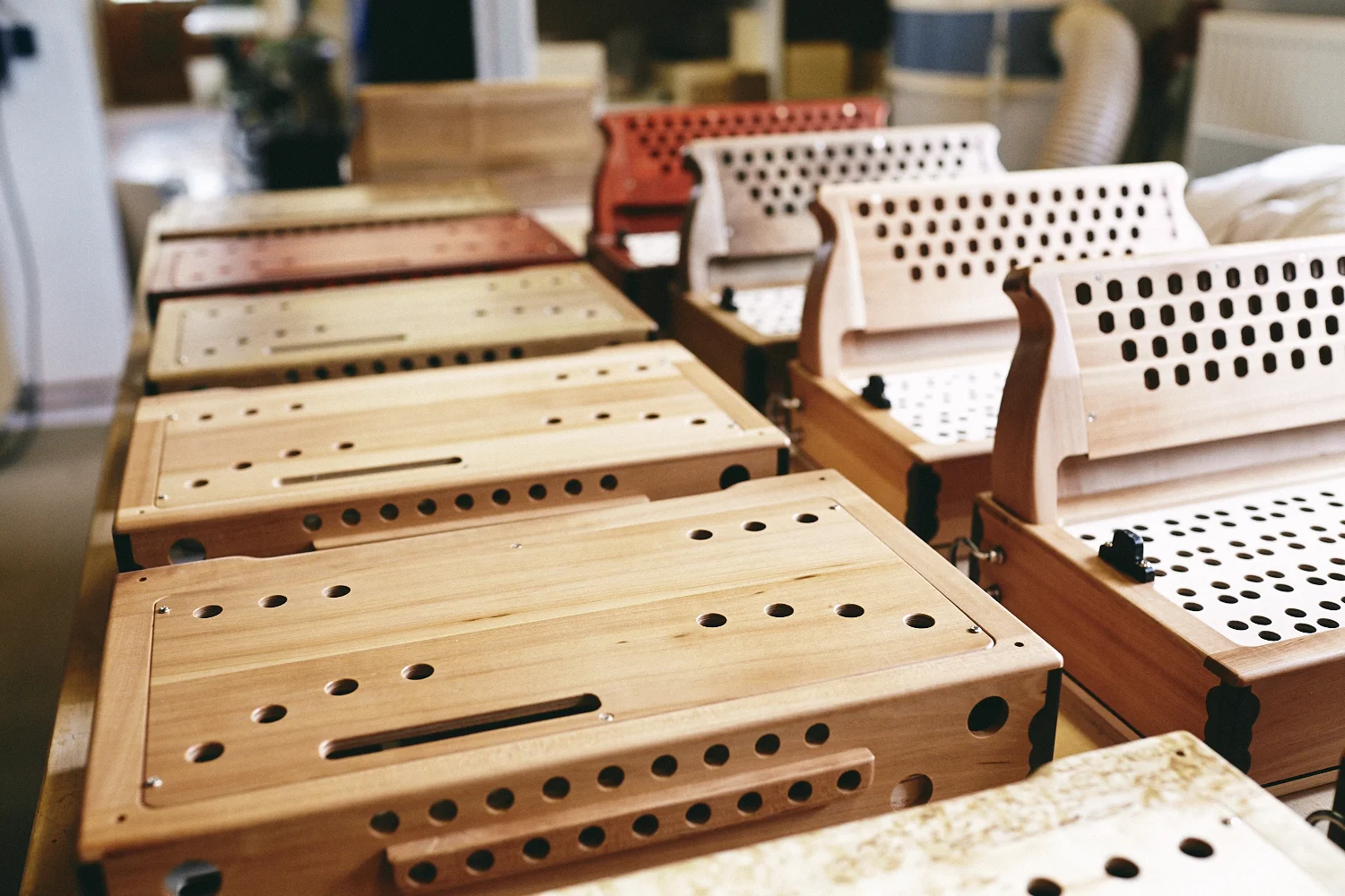 Documentary and portraits of a young craftsman producing accordions