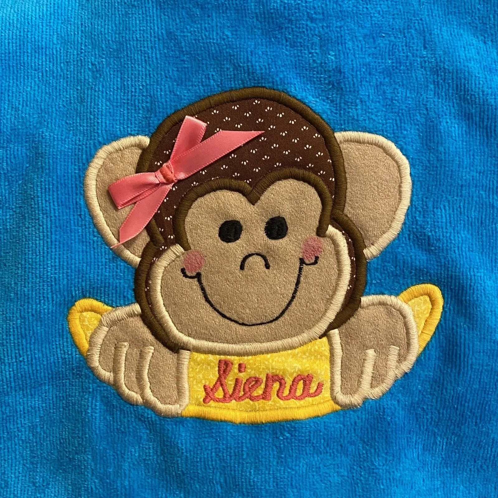 Monkey on Teal with bow