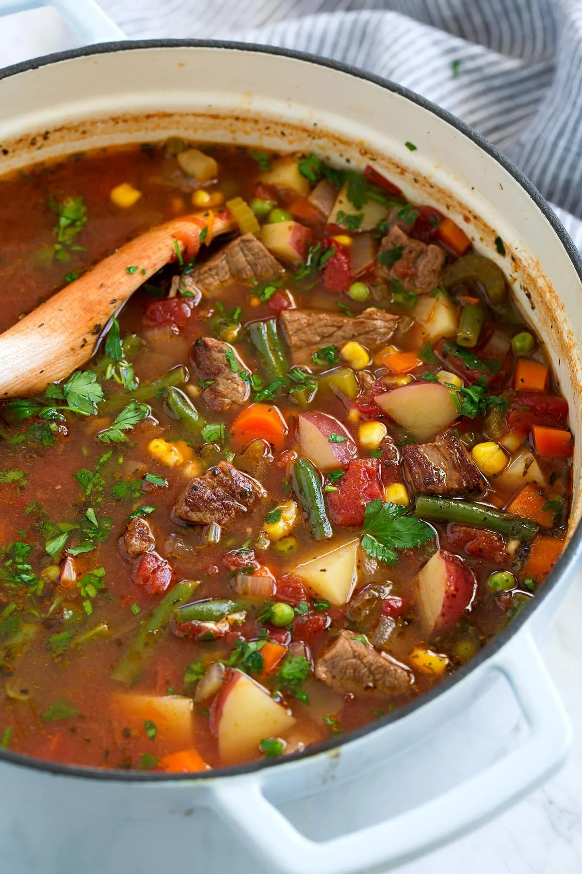 vegetable-beef-soup-12.jpg
