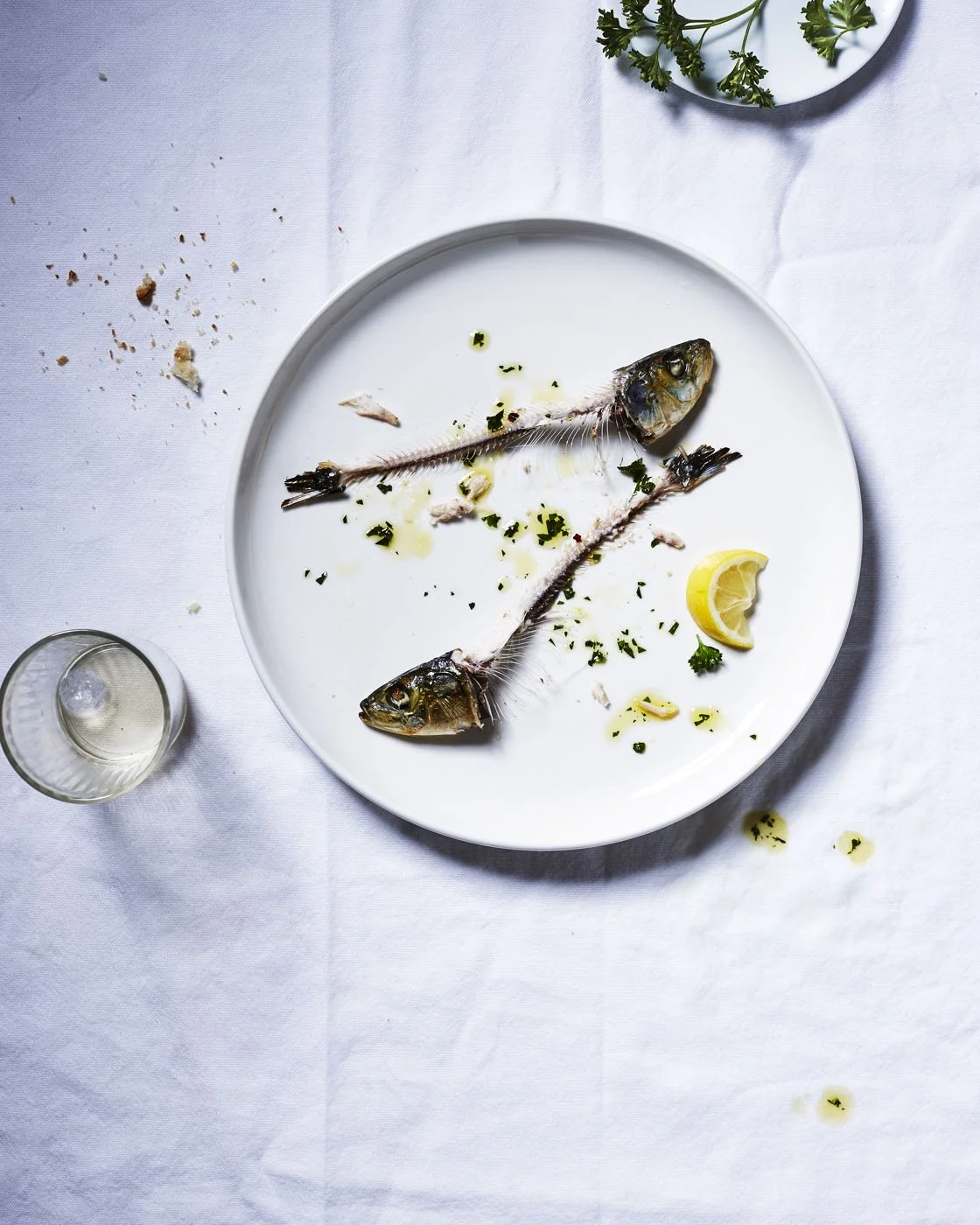 Fresh Sardines Eaten_Iain Test 2016.jpg