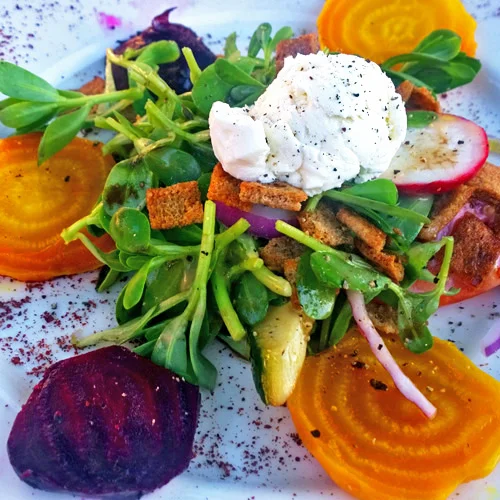 Gingers on the Loose: Cold Brews, Beet Salads, and Fresh Juice