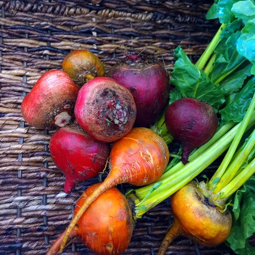 Meet The Beet