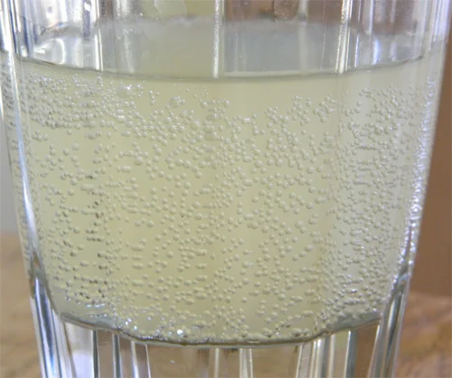 Ginger-Orange Water Kefir by Rooted & Relishing