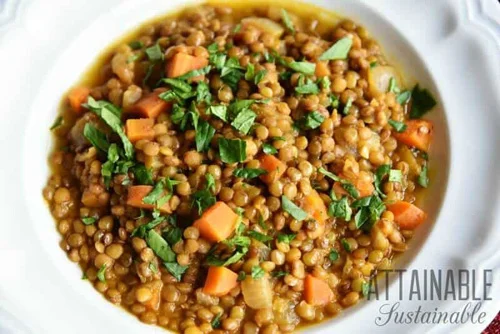 Fast-Fixing Hearty Vegetarian Lentil Soup by Attainable Sustainable