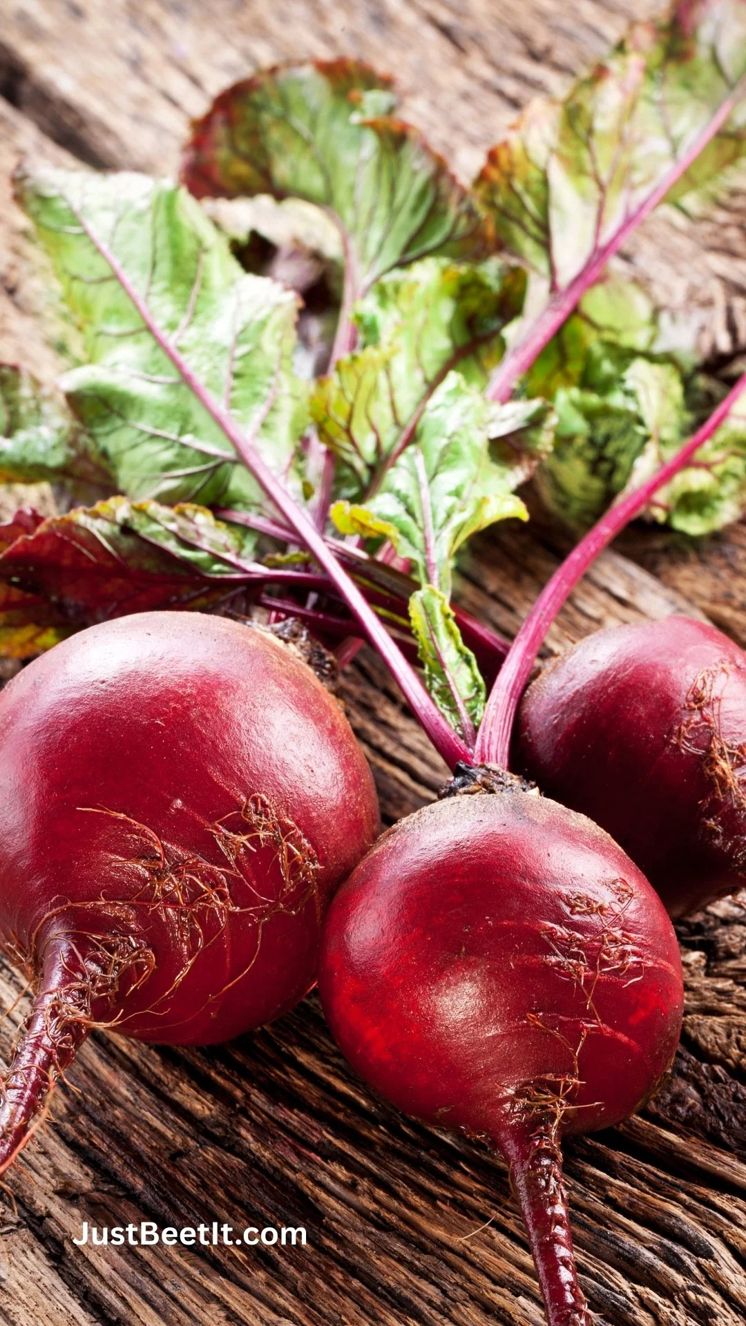 Brain Food for Studying: How Beets Support Natural Steady Energy and Reduce Stress for Students